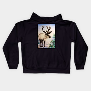 Reindeer Kids Hoodie